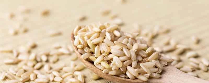 玄米は減量に役立ちますか？ 玄米を最も早く減量するには、どのように食べればよいでしょうか？