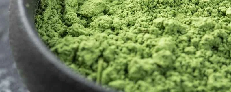 大麦若葉ジュースは熱湯で作れますか？大麦若葉ジュースを飲むとどんなメリットがありますか？