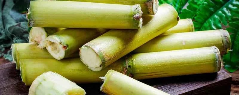 ダイエット中にサトウキビを食べても大丈夫ですか？夜にサトウキビを食べると体重が増えますか？