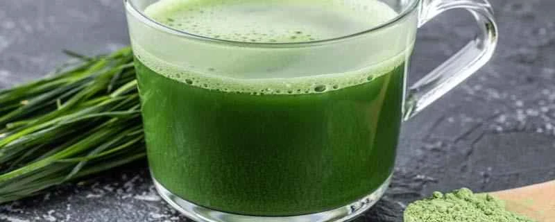 賞味期限から1年経った大麦若葉ジュースはまだ飲めますか？賞味期限切れの大麦若葉ジュースはどうすればよいですか？