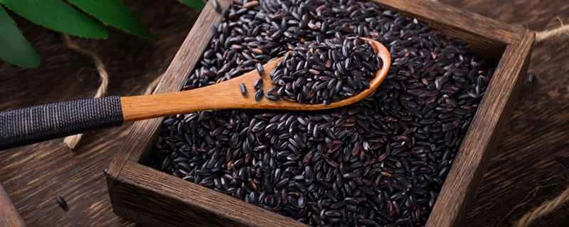 紫米は高カロリーなのに、なぜダイエットに適しているのでしょうか？紫米と普通の米、どちらの方がカロリーが高いのでしょうか？