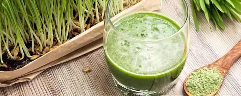 大麦若葉ジュースはお湯で作った方がいいですか、それとも冷水で作った方がいいですか？大麦若葉ジュースの作り方は？