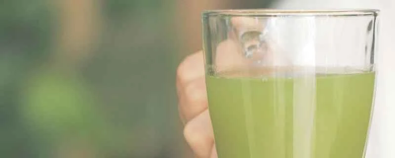ダイエットのために大麦若葉ジュースを飲むには？大麦若葉ジュースはダイエットに効果があるのでしょうか？