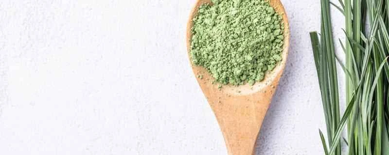 空腹時にグ​​リーンジュースを飲むと減量に効果がありますか？ 体重が減るどころか増えてしまうのはなぜですか？