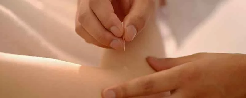 減量のための鍼治療を受けている間、バナナを食べても大丈夫ですか？減量のための鍼治療を受けている間、避けるべき食べ物は何ですか？