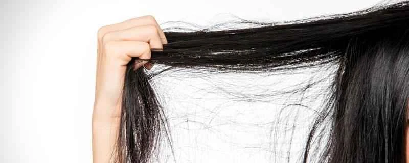 急激に体重を減らすと抜け毛の原因になりますか？急激な体重減少による抜け毛にはどのような対策がありますか？