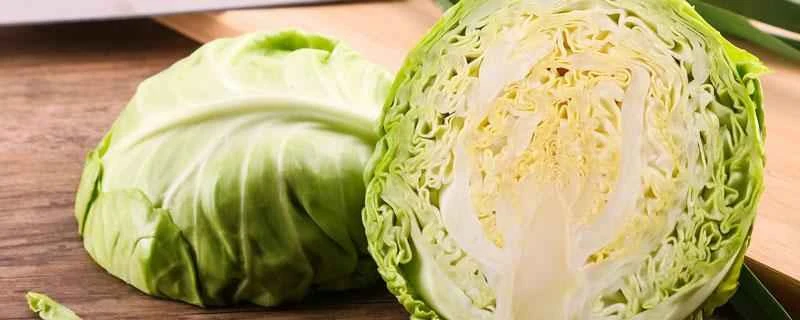 ダイエットに良い野菜とは？すぐに痩せる4種類の野菜。