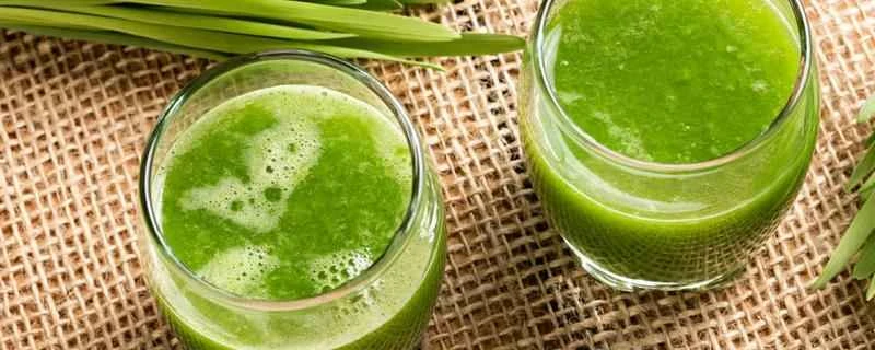 賞味期限切れの青汁はまだ飲めますか？賞味期限切れの青汁パウダーは何に使えますか？