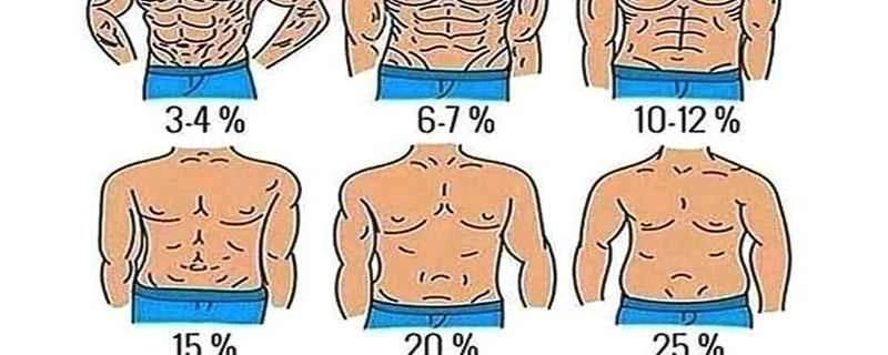 腹筋を鍛えるにはどのくらいの体脂肪率が必要ですか？体脂肪率が高いとどのような影響がありますか？