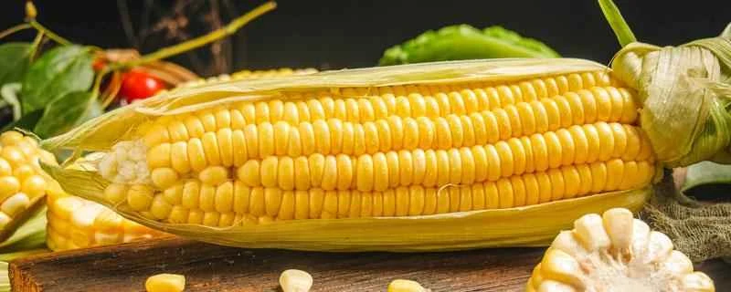 ダイエット中に食べるべき主食とは？主食として最適な5つの食品