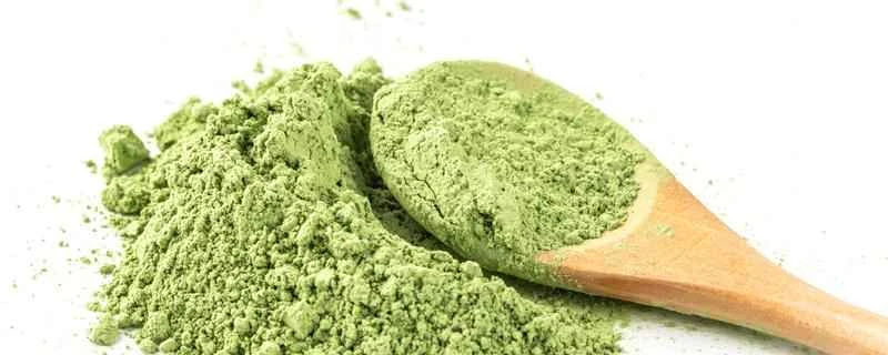 痩せている人は大麦若葉ジュースを飲んでも大丈夫ですか？痩せている人はどのように大麦若葉ジュースを飲むべきでしょうか？