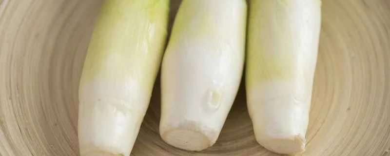 ダイエット中にタケノコを食べても大丈夫ですか？タケノコはカロリーが高いですか？