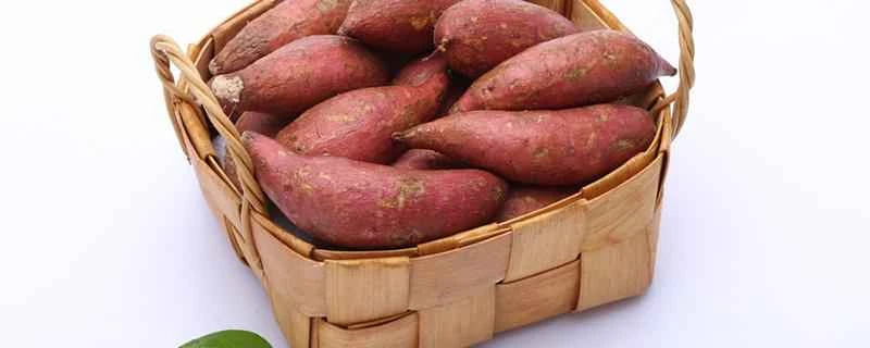 サツマイモとトウモロコシはダイエットに良いですか？サツマイモとトウモロコシ、どちらがダイエットに良いですか？