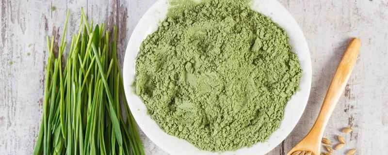 大麦若葉ジュースの賞味期限はどれくらいですか？開封していない場合は、賞味期限切れの大麦若葉ジュースを飲んでも大丈夫ですか？