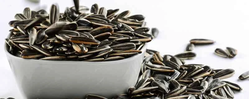 ダイエット中にひまわりの種を食べても大丈夫ですか？ひまわりの種を食べると減量に影響しますか？