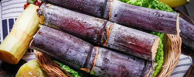 サトウキビを食べると太りますか？ 1日にサトウキビ1本を食べると太りますか？